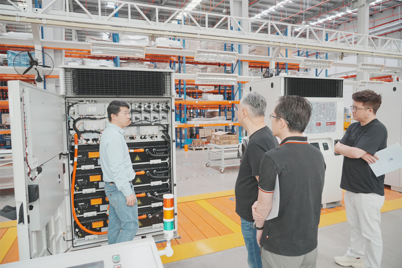Overseas Clients Based in China Visit for Inspection: Deepening a New Chapter of Win – Win Cooperation